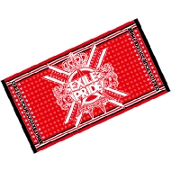 EXILE関連商品｜EXILE PRIDE 2013｜HMV&BOOKS online