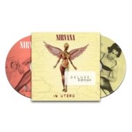 NIRVANA ニルバーナ　インユーテロ　パズル　海外製　新品未開封 Nirvana ジグソーパズル ニルヴァーナ In Utero 2x 256pcs
