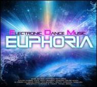 Edm Euphoria 2013