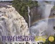 ���E���R��Y �C�O�� 2014 ���}�P�C�J�����_�[2014 �Ǌ|�^�C�v