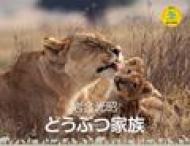 �⍇���� �ǂ��ԂƑ� ���}�P�C�J�����_�[2014 �Ǌ|�^�C�v