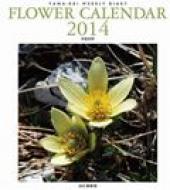 �t�����[�J�����_�[ ���}�P�C�J�����_�[2014 ���^�C�v