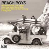 Beach Boys/Icon