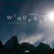 Ensemble Denada/Windfall Music By Helge Sunde