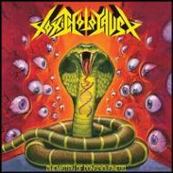 Toxic Holocaust/Chemistry Of Consciousness