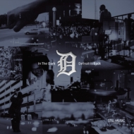 Various/In The Dark Detroit Is Back