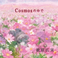 /Cosmos
