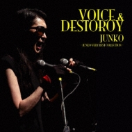 Voice&Destroy -Junko Very Best Collection-