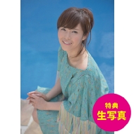 [���T]������� / 2014�N�J�����_�[