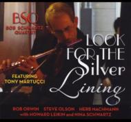 Look For The Silver Lining