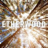 Etherwood/Etherwood