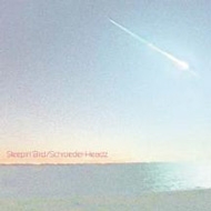 Schroeder-Headz/Sleepin'Bird