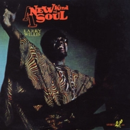 Larry Willis/New Kind Of Soul(Rmt)(Ltd)
