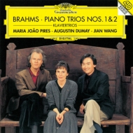 ֥顼ॹ1833-1897/Piano Trio 1 2  Pires(P) Dumay(Vn) Jian Wang(Vc)