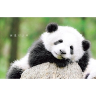 �x���т��