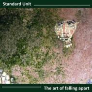 Art Of Falling Apart