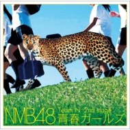 NMB48/Team N 2nd Stage Ľե륺