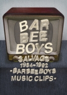 SALVAGE 1984-1992 -BARBEE BOYS MUSIC CLIPS-