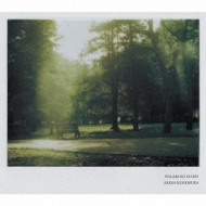 Akira Kosemura/Polaroid Piano