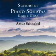 塼٥ȡ1797-1828/Piano Sonata 20 21  Schnabel
