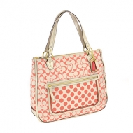 Coach(�R�[�`)22473 / B4b4d