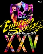 B'z/B'z Live-gym Pleasure 2013 Endless Summer -xxv Best- (完全盤)