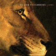 William Fitzsimmons/Lions