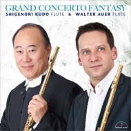 Flute Classical/ƣŵ W. auer Grand Concert Fantasy-flute Duo Works