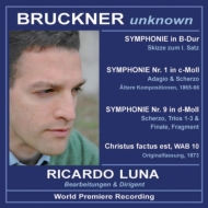 Bruckner Unknown : R.Luna / Ensemble Viennayres, Ensemble Wien-Linz, etc