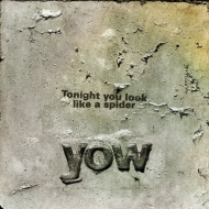 David Yow/Tonight You Look Like A Spider (+dvd)