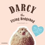 nlY~̃_[V[ Darcy The Flying Hedgehog