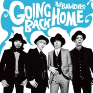 10th Anniversary Cover Album wGOING BACK HOMEx