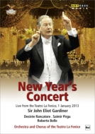 ヴェルディ（1813-1901）/New Year's Concert 2013： Gardiner / Teatro La Fenice Rancatore Pirgu +tchaikovsky：