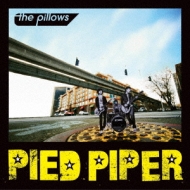 Pied Piper