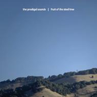 Fruit Of The Steel Tree