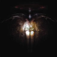 The Metamorphosis Final Form