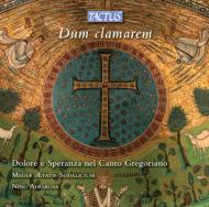 Gregorian Chant Classical/Dum Clamarem-dolore E Speranza Nel Canto Gregoriano Albarosa / Mediae Aet