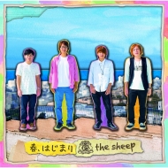 the sheep/աϤޤ