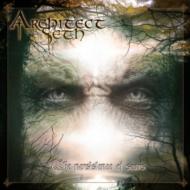 Persistence Of Scars