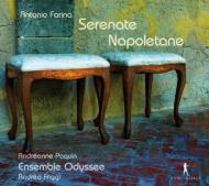 Baroque Classical/Vocal ＆ Instrumental Music From 17 ＆ 18th Century Naples： Paquin(S) Stegmann(Rec)
