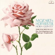 ⡼ĥȡ1756-1791/Horn Quintet (Hr) Bamberg So Sq +hoffmeister L. mozart Etc