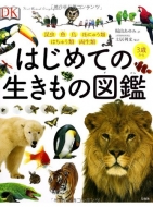 �͂��߂Ă̐������̐}��