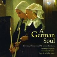 Baroque Classical/A German Soul-devotional Music From 17th Century Hamburg： Ensemble Meridien Frigol