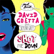 David Guetta/Shot Me Down (2tracks)