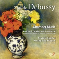 Chamber Works & Transcriptions : Prazak Quartet, Kinsky, Trio, Klepac, Pechocova(P)(Hybrid)