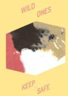 Wild Ones (Rock)/Keep It Safe