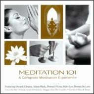 Various/Meditation 101