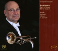 Trumpet Classical/Trumpet Concertos： Gansch(Tp) Sieghart / Spirit Of Europe
