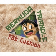 Fab Cushion/Bermuda Triangle