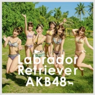 Labrador Retriever [First Press Limited Type K: Event Ticket, AKB48 37th Single Voting Limited Period Serial Card]